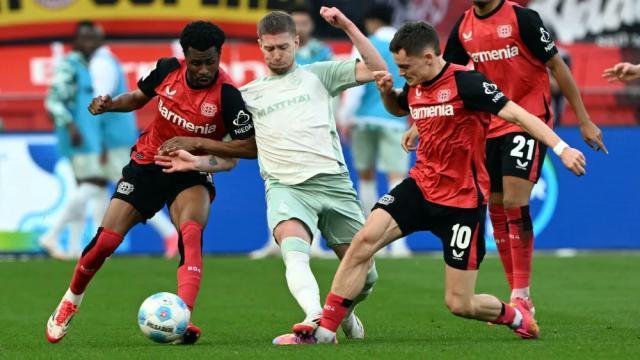 1741518770173080354.jpg 1741518770173080354.jpg